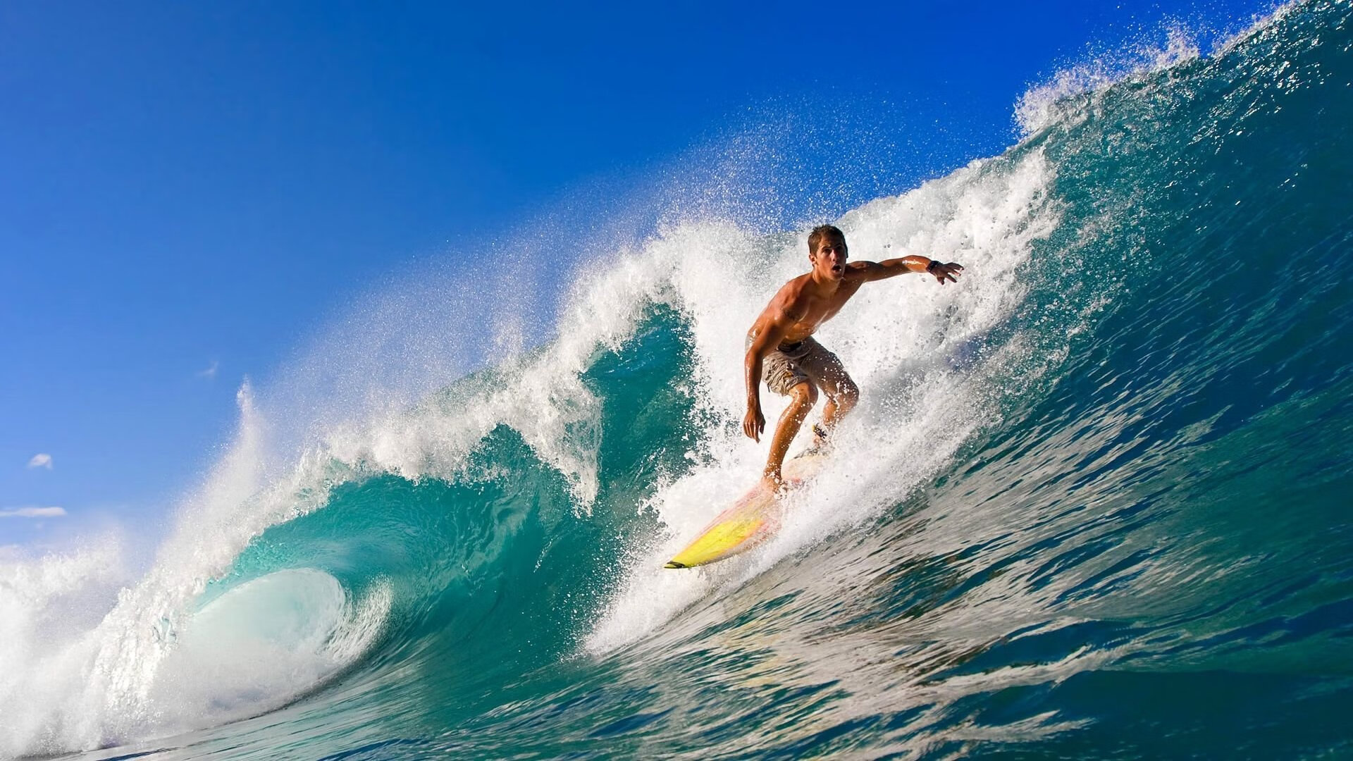 当灰熊碾过麦迪逊,胡金秋在废墟中扛起的不只是一支球队